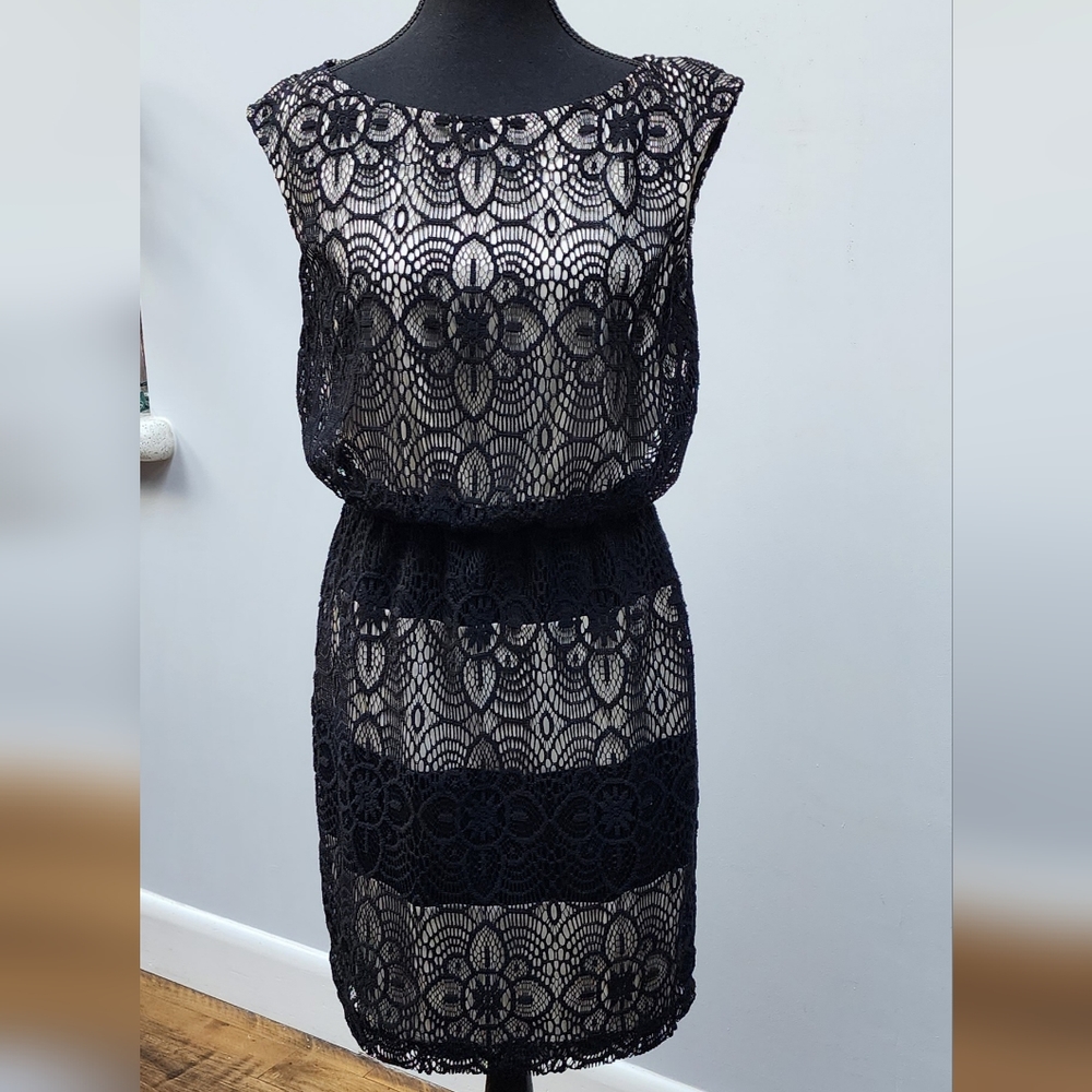 London Times Black Lacey Illusion Dress Size 8P